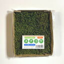 【ゴーゴーセール】スナゴケ 120×140mm【3個セット】庭園 造園 盆栽 苔 ジオラマ テラリウム コケリウム 壁面 屋上緑化 インテリア グリーン モスパ...