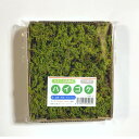 【ゴーゴーセール】ハイゴケ 120×140mm【3個セット】 苔玉 庭園 造園 盆栽 苔 ジオラマ テラリウム コケリウム 壁面 屋上緑化 インテリア グリーン...