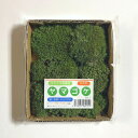 【ゴーゴーセール】ヤマゴケ 120×140mm【3個セット】庭園 造園 盆栽 苔 ジオラマ テラリウム コケリウム 緑化 インテリア グリーン モスパネル モス...