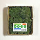 【送料無料】ヤマゴケ 120×140mm【2個セット】庭園 造園 盆栽 こけ コケ ジオラマ テラリウム コケリウム 緑化 インテリア グリーン モスパネル モスウォール 花材 苔好き ワークショップ サステナブル 持続可能 日本製