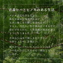 吉野ひのき香り袋 40g×3袋入り【2個セット　合計6個入り】　桧 檜 ヒノキ ひのきチップ におい袋 匂い袋 ひのき風呂 森林浴 アロマ 消臭 匂い消し 気分 リラックス 癒し おうち時間 無添加 国産 日本製 2