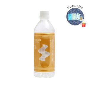 【温泉コスメサンプル付】観音温泉 飲む温泉 500ml×24本入【2ケース】温泉水 ミネラルウォーター 超軟水 天然シリカ水 備蓄用 ストック 保存 避難対策 美容 5つ星の宿【1回のご注文でサンプル1セット】