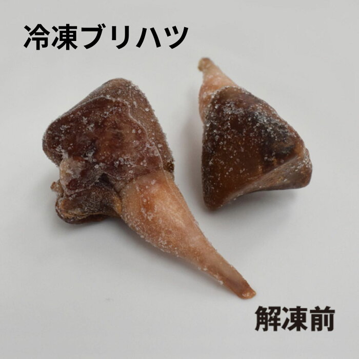 【クール便発送】 冷凍ブリハツ 1kg（業務用）ペット用 えさ 心臓 中型魚 大型魚 カメ 亀 カエル