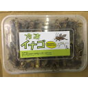 【ビッグセール】【クール便発送】 冷凍イナゴ Lサイズ 200g×12個セット 冷凍餌 両生類 大型魚 中型魚 小動物 エサ えさ