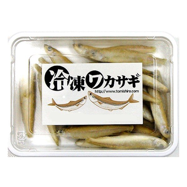 【クール便発送】 ワカサギ（バラ冷凍）100g 冷凍餌 エサ えさ 両生類 大型魚 爬虫類 わかさぎ