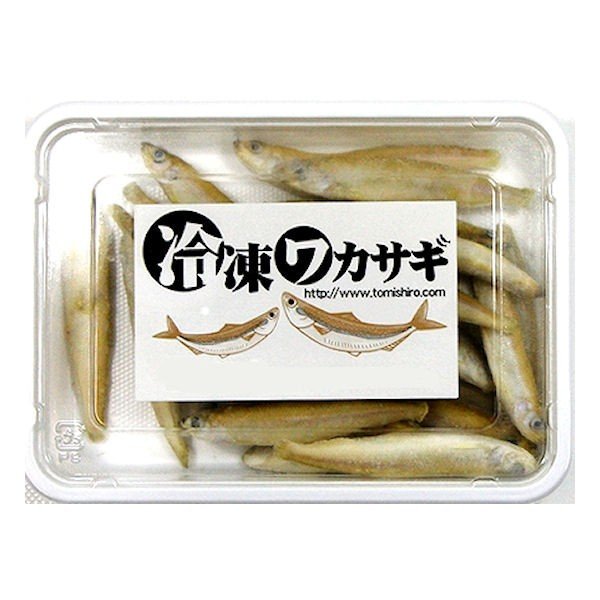 亀 大型魚用エサに最適ワカサギ バラ冷凍 100g 15個セット餌 クール便にてお届け 餌エサえさえさエサ両生類 C Vision