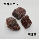 【ビッグセール】【クール便発送】 冷凍牛ハツ 1kg【100g×10個】 ペット用 えさ 心臓 生肉 角切り 大型肉食魚 爬虫類 両生類 熱帯魚(4)