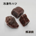 ●生体が食べやすいサイズ 1〜2cmのサイコロ状にカットした冷凍餌です ●成長促進をサポート 冷凍の牛ハツ（心臓）の筋を取り除き、余分な脂肪は取り除いているので、消化によく成長促進が期待できます ●便利なチャック付きの透明袋入り 【こんな生き物のエサに最適です】 ・ミズガメ ・大型肉食魚（大型魚） ・肉食の爬虫類・両生類 ・熱帯魚【生産国】 オーストラリア 【使用方法】 解凍してすぐにご使用ください。 一旦解凍してしまったものは再度冷凍しないでください。 万一、食べ残した餌は再利用せずすみやかに廃棄してください。 【原産国】 オーストラリア 【注意事項】 ・取り除ききれない薄い筋が残っている場合も有ります。 ・一旦解凍してしまったものは再度冷凍しないでください。 ・本品は、ペット用の冷凍餌です。他の用途で使用しないでください。 ・万一、食べ残した餌は再利用せずすみやかに廃棄してください。 ・多少サイズがばらつく場合があります。あらかじめご了承下さい。 ▼こちらも必ずお読みください！▼ ●こちらの商品は、当店の提携倉庫より出荷させていただきます。従って、冷凍エサ以外の商品は同梱いただけません。 ●納品書は同梱しませ。必要な場合はメールにて送信いたしますので、その旨メールをお願いいたします。 ●本品はクール便にてお届けいたします。 ●宅配便は、諸事情により到着時間が遅れる場合があります。余裕をもってご注文いただきますようお願い致します。 ●到着時間の遅れによる責任は一切受け付けておりません。あらかじめご了承ください。 【返品・交換について】 ※到着後すぐに開封し中身をご確認ください。 ※万一、とけて到着した場合は、当日中にメールでお知らせください。（お届け日当日にご連絡いただいた場合のみ保証いたします。） ※こちらの商品は、お客様都合の返品やサイズ変更はもとよりキャンセルも一切できません。あらかじめご了承の上、ご注文をお願いいたします。 こちらの商品は、他店舗でも販売しております。そのため、ご注文のタイミングによっては急遽欠品となる場合がございます。 その際は、メールにてご連絡の上、キャンセルさせていただきますのであらかじめご了承ください。