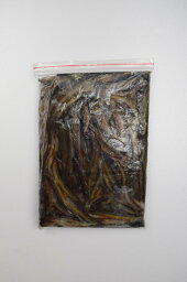 【クール便発送】 冷凍ドジョウ　2kg（500g×4袋）どじょう 餌 エサ えさ 両生類 熱帯魚 観賞魚 カメ 大型魚