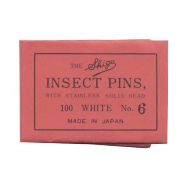 志賀昆虫 シガ昆虫針 6号 100本入【2個セット】志賀昆蟲普及社 シガコン 自由研究 標本 昆虫採集 採取