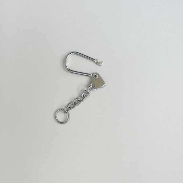 �����ۥ���� KCSH �������� 1�� ������ �� �եå��� ������������ ��󥿥å�