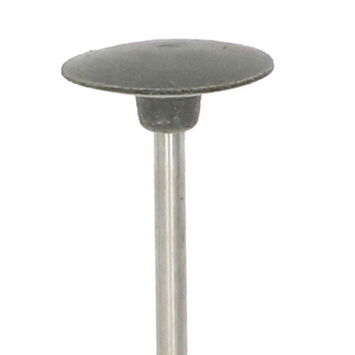 EVE シリコンポリッシュ MEDIUM # H16M 100本入