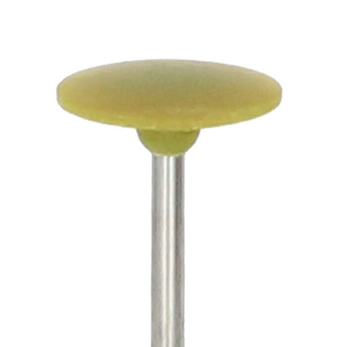 EVE パミスポリッシュ MEDIUM # H16PM 12本入