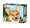 Corgis 2023 Calendarの商品画像