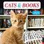 Cats &Books 2023 Wall Calendar