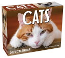 Cats 2021 Mini Day-to-Day Calendarの商品画像