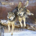 Wolves 2021 Calendarの商品画像