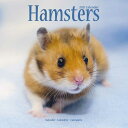 Hamsters 2021 Wall Calendarの商品画像