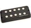 Seymour Duncan ⥢ 󥫥 ԥåå ١ SMB-5D for Musicman (¹͢)