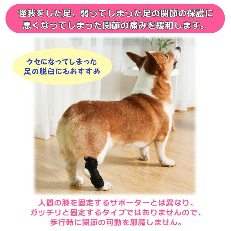 ばねスプリング付き 犬 足 サポーター 後ろ足 脚 関節 犬の足サポーター 犬のサポーター 足舐め防止 犬後ろ足もも傷舐め防止サポーター 後足関節保護 固定 ペット用ケア用品 犬骨折治療 老犬介護 介護用品 小型犬 中型犬 大型犬 小さいサイズ 大きいサイズ SMLXL 黒ブラック