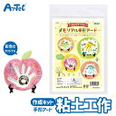粘土 クラフトキット ねんどでつくる メモリアル手形アート 抗ウイルス粘土 同梱 アーテック Artec 子供用 知育玩具 ユニセックス 男の子 女の子 図工 ...