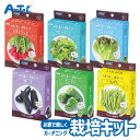 お家で楽しく栽培キット 夏休み 自由研究キット アーテック Artec 学習玩具 子供用 ユニセックス 男の子 女の子 植物 野菜 栽培観察 幼児 小学生 キッ...