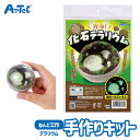 工作キット 化石 テラリウム 理科 学習おもちゃ アーテック Artec 知育玩具 子供用 ユニセックス 男の子 女の子 図工 クラフト 手芸セット 幼児 小学...