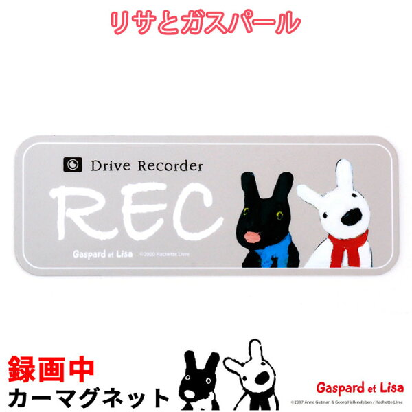 ドライブレコーダー ステッカー 猫 みんな探してる人気モノ ドライブレコーダー ステッカー 猫 車 バイク ドライブレコーダー ステッカー 猫 みんな探してる人気モノ ドライブレコーダー ステッカー 猫 車 バイク