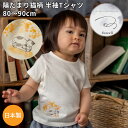 Sowell 陽だまりねこ柄 半袖Tシャツ オーガニックコットン 日本製で高品質 ギフト 新生児 赤ちゃん用 猫 かわいい ブランド 女の子 男の子 誕生日 ハーフバースデー 御祝 出産祝い 送料無料 春 秋 夏 冬 綿100％ 天竺 ストライプ ワッフル タフタ 80cm 90cm