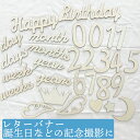 レターバナー 撮影グッズ 木製バナー ウッドレター 月齢フォト 記念写真 ベビー 赤ちゃん happybirthday 誕生日 ハーフバースデー ハッピーバース...