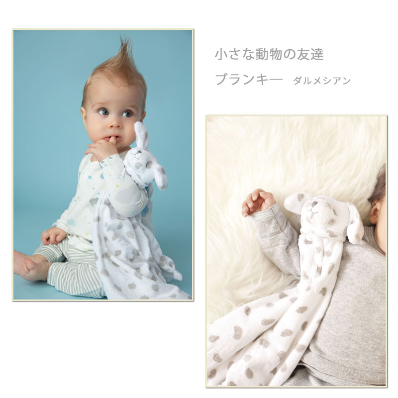 �ߥ˥֥�󥱥å� �֥�󥭡� ����᥷���� ���󥸥���ǥ��� �ϥ����� ưʪ�Τ�ͧã �̤������ ���˥ޥ� ������ �֤���� �ˤλ� �٥ӡ����ե� ��� ������ ���������ʡڥ֥�󥭡���