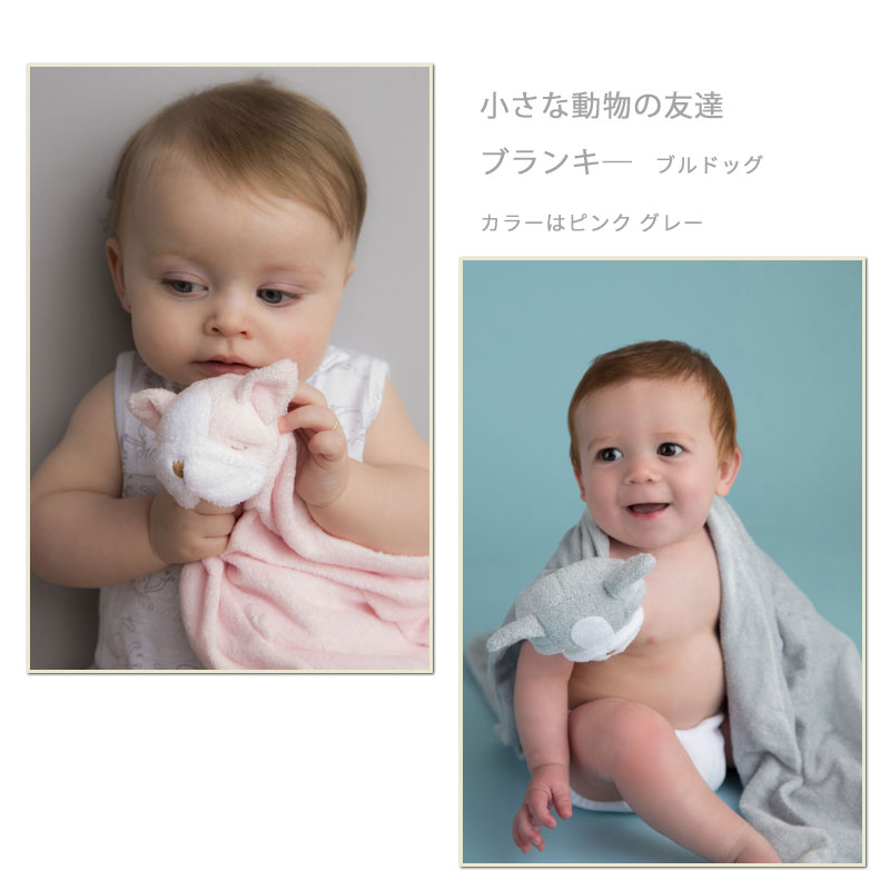エンジェルディア ブランキー ブルドッグ 犬 ミニブランケット 動物のお友達 ぬいぐるみ angel dear 男の子 angeldear 出産祝い お祝い ひざ掛け うさぎグッズ ひざ掛け 新生児 赤ちゃん 女の子【ブランキー】 2