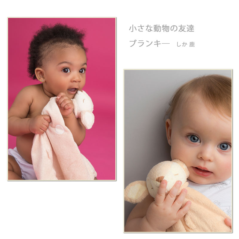 ���󥸥���ǥ��� �֥�󥭡� ���� �� �Х�� �ߥ˥֥�󥱥å� ưʪ�Τ�ͧã �̤������ ������ �ˤ��ˤ� �˥��˥� ���ե� �ץ쥼��� ������ �֤������ �ˤλ� ���λ� ���������ʡڥ֥�󥭡���