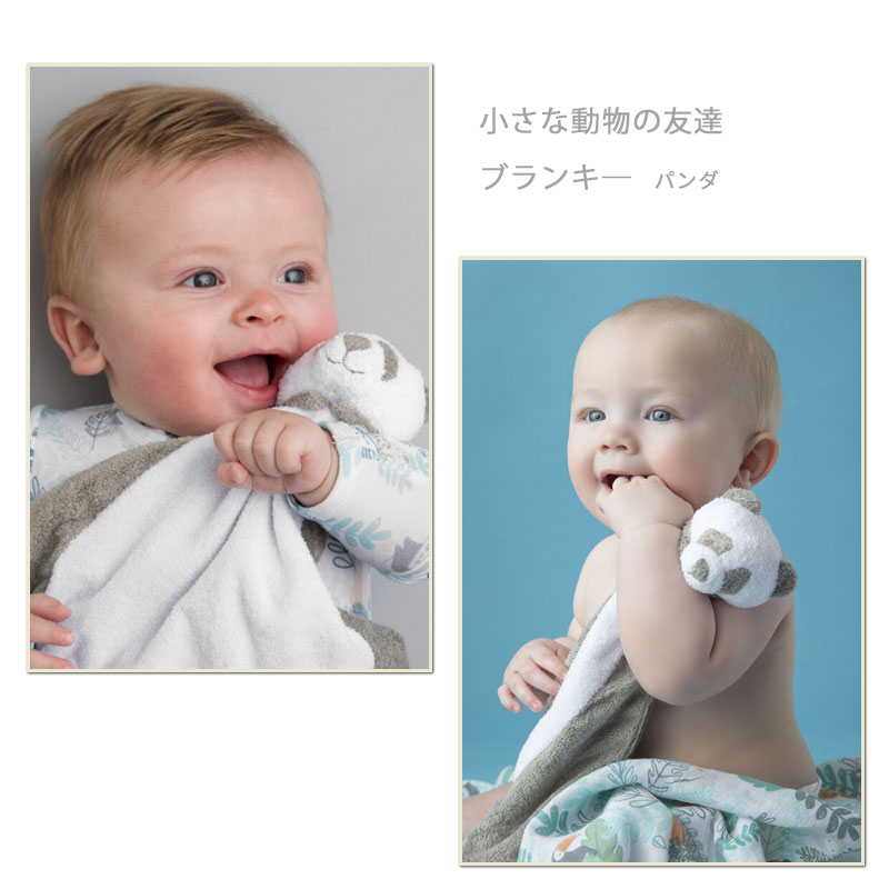エンジェルディアのブランキー パンダ ミニブランケット 動物のお友達 ぬいぐるみ タオル にぎにぎ ニギニギ ギフト 新生児 赤ちゃん用 男の子 女の子 angeldear panda blankie 出産祝い おしゃれ かわいい ひざ掛け ひざかけ【ブランキー】 2