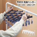 洗濯ハンガー 伸縮可能 ピンチハンガー 新生活 洗濯ばさみ 物干し 落ちない洗濯バサミ 29ピンチ 19 14 伸縮自在 いろんな使い方が出来る小物干しハンガー...