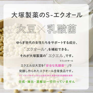 【1〜3営業日出荷】 エクエル パウチ 120粒 × 2袋 大塚製薬 送料無料 2個セット【正規 流通品】