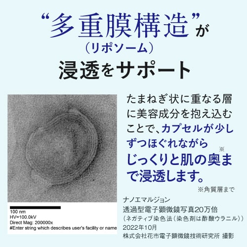 高濃度12％ セラミド 乳液 60mL ナノエマルジョン技術 ナノセラミド ヒト型セラミド 美容乳液 バクチオール レチノール アミノ酸 セラミド乳液 保湿 インナードライ 乾燥肌 まるで 化粧水 美容液 プラスキレイ プラスナノセラミルク 【メール便】 cabe-bata-10003865 デアウ サンプル画像3