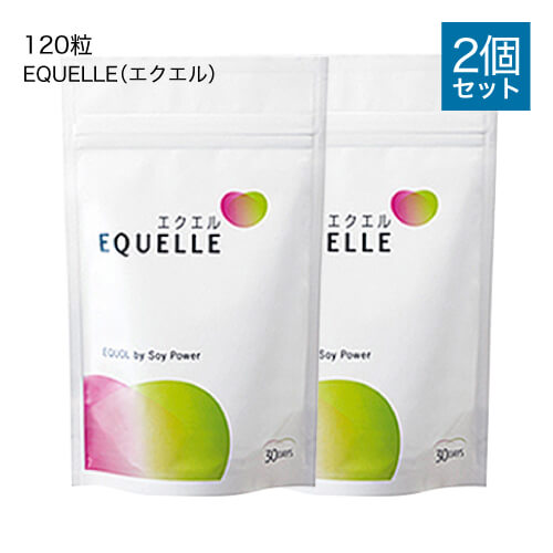 エクエル パウチ 120粒×2袋 大塚製薬 サプリメント エクオール 大豆イソフラボン サプリ 2個セット EQUELLE 【いちおし】【メール便】【送料無料】