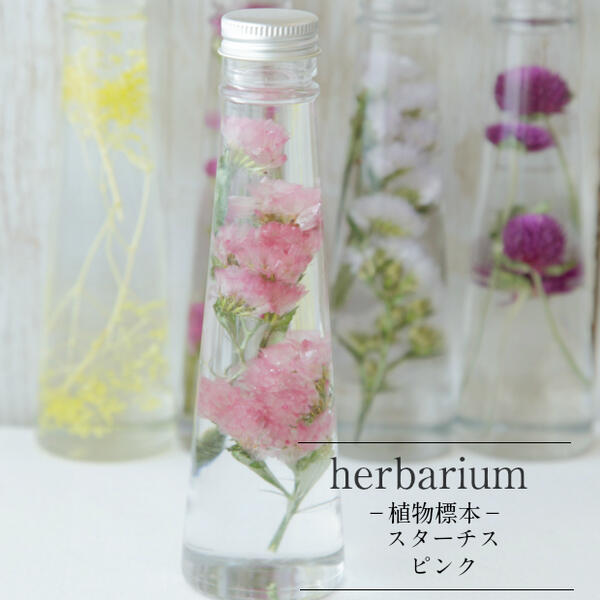 yherbarium@Bottlezn[oE{g@X^[`XsN|AW{|v`Mtg