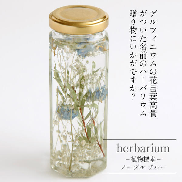 送料無料【herbarium Bottle】ハーバリウムボトル八角ボトル【Medium】フラワーアレンジ＜ノーブルブルー＞−植物標本−