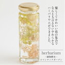 ハーバリウム 送料無料【herbarium Bottle】ハーバリウムボトル八角ボトル【Medium】フラワーアレンジ＜ロマンチックガーデン＞−植物標本−