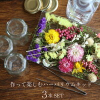 【herbarium Bottle】届いてすぐ始められます作って楽しむ・ハーバリウムキット3本セット 花材・ハーバリウムオイル・ハーバリウム用ボトルがセット−植物標本−