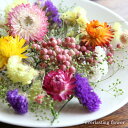 ドライフラワー詰め合わせハーバリウムやアロマキャンドル。サシェの花材にお花のキット