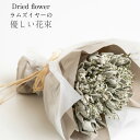 【送料無料】あす楽地域対応品【flower gift】フェミニンカラーラムズイヤーと小さな小花のドライフラワー ブーケ−花束ギフト-インテリア誕生日プレゼント記念日ウエディングフォト