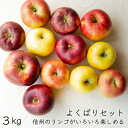 予約9月頃よりお届け予定【送料無料】信州の10くだもの【フルーツ】いろいろ食べられるよくばりセット信州のりんご箱よりどり食べ比べセット/大3kg・10個から12個<箱>【 ご家庭用】1箱冬ギフト/長野県