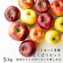 【予約品・2024年収穫次第お届け】【送料無料】信州のくだもの【フルーツ】いろいろ食べられるよくばりセット信州のりんご箱よりどり食べ比べセット/大5kg・14個から18個<箱>【 ご家庭用】1箱冬ギフト/長野県
