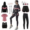トップス Tシャツ パンツ ブラー 5点セット 夏 ジム 上下セット ジャージー運動着 ジャージー インナー スポーツウェア ヨガウェア レディース ランニング...