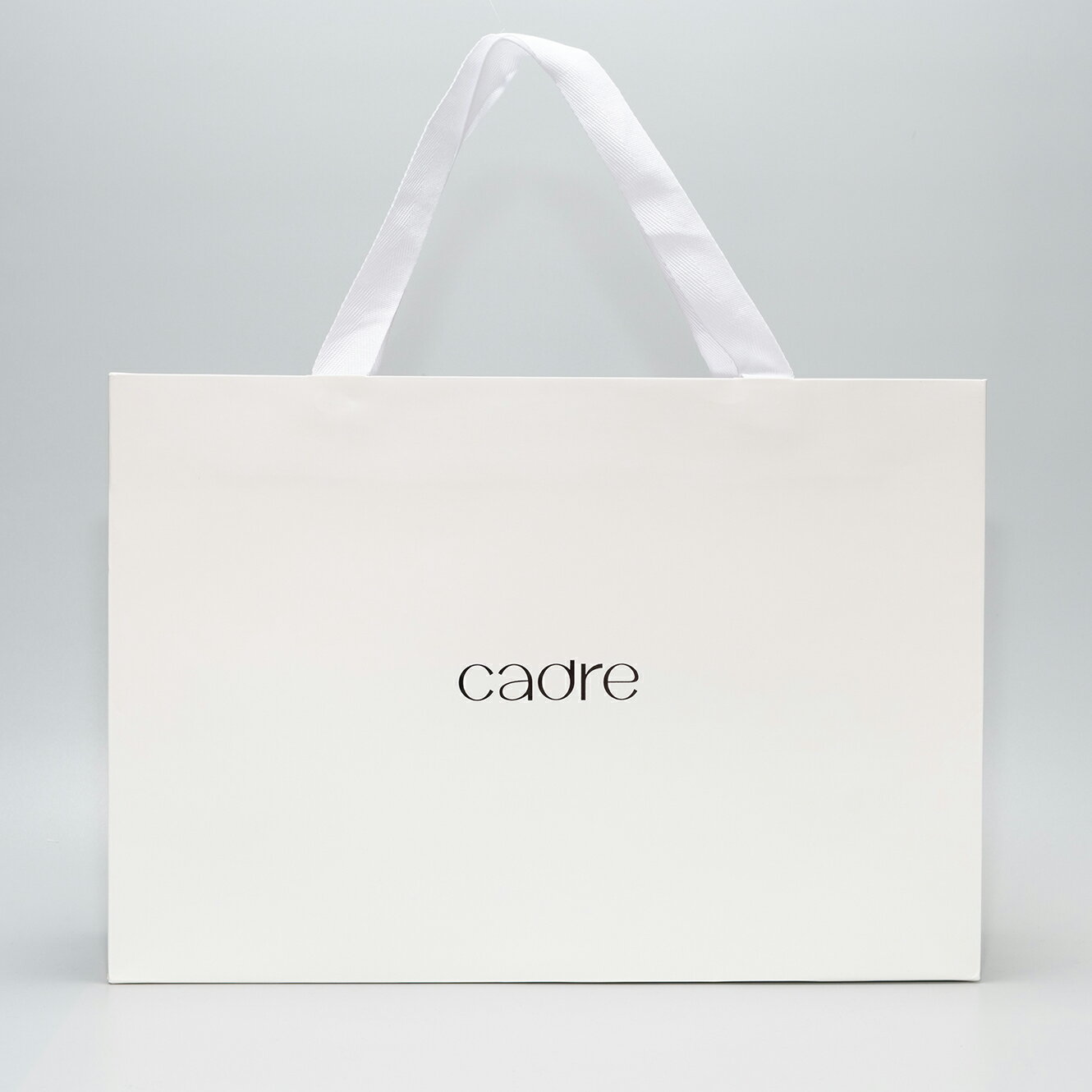 【公式】cadre ペーパーバック ショッパー 紙袋 ドライヤー 大風量 マイナスイオン コンパクト 時短 ヘアドライヤー 速乾 カドレ 2カラー 温度調整 軽...