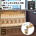 ギフト プレゼント カフェオレ 希釈 カフェオレベース 自家焙煎珈琲 カフェオレ のもと 加糖 希釈用 6本