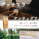 コーヒー豆 ドリップコーヒー コーヒー 珈琲豆 グァテマラ アンティグア 200g